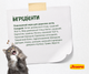 JOSERA NatureCat 10 кг - Беззерновий корм з птицею та лососем для активних котів - изображение 4