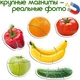 Набор магнитов Magdum Baby puzzle "Фрукты и овощи" ML4031-25 EN - изображение 8