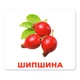 Ламіновані картки Домана "Ягоди" українською - изображение 10