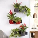 Розумний вазон Lechuza Green Wall Home Kit Glossy прямокутний 40 (48 x 15 x 14 см) яскравочервоний блискучий (13525) - зображення 7