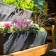 Розумний вазон Lechuza BALCONERA Cottage прямокутний 80 см (80х19х19 ) графітовий чорний (15619) - изображение 4