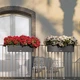 Розумний вазон Lechuza BALCONERA Cottage прямокутний 80 см (80х19х19 ) графітовий чорний (15619) - изображение 7