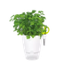 Вазон ELHO Brussels Herbs All in 1 круглий білий пластиковий 13х21,5 см (2746961) - зображення 2