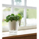Вазон ELHO Brussels Herbs All in 1 круглий білий пластиковий 13х21,5 см (2746961) - зображення 5