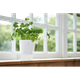 Вазон ELHO Brussels Herbs All in 1 круглий білий пластиковий 13х21,5 см (2746961) - зображення 7