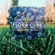 Экокуб Flora Cube фиалка - изображение 1