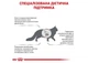 Сухий корм для дорослих котів при хворобах печінки Royal Canin Hepatic Feline 2 кг (3182550787963) - изображение 3