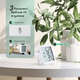 Термогігрометр Inkbird IBS-TH3 Wi-Fi Plus із дисплеєм та Wi-Fi - изображение 3