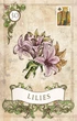 Карти Оракул Старий Стиль Ленорман - Old Style Lenormand - зображення 4