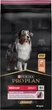Сухий корм для дорослих собак середніх порід з чутливою шкірою Purina Pro Plan Medium Adult 1+ Sensitive Skin з лососем 14 кг (7613035120464) - зображення 1
