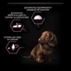 Сухий корм для цуценят дрібних порід з чутливою шкірою Purina Pro Plan Small&Mini Puppy - зображення 8