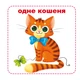 Розумні картки. Лічба. 30 карток - Дарина Лисакова (9789669369659) - изображение 4