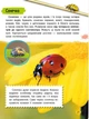 Мініенциклопедія. Комахи та павуки - Костянтин Воронков (9789669827234) - изображение 2