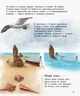 Енциклопедія дошкільника. Океаны и моря - Каспарова Юлія Вадимівна (9786170936165) - изображение 5