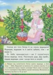 Солом'яний бичок (9789669475671) - зображення 6