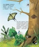 Енциклопедія дошкільника. Комахи - Каспарова Юлія Вадимівна (9786170937292) - изображение 3
