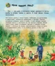 Енциклопедія дошкільника Ліс - Каспарова Юлія Вадимівна (9786170936189) - зображення 6