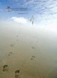 Реинкарнация. Размышления - Хакимов А.Г. (9786177036066) - изображение 2