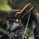 Секатор Fiskars PowerGear X-series P961 L обводной (1057175) - изображение 6