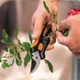 Секатор Fiskars Solid SP14 обводной для цветов (1051601) - изображение 5