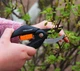 Секатор Fiskars SingleStep P26 обводной (1000567) - изображение 3