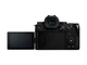 Фотоаппарат Panasonic Lumix G9 II + 12-60mm f/3.5-5.6 Kit (DC-G9M2MEE) - изображение 5