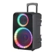 Акустична система NDR-612 (12"x1) (30W) (Бездротовий мікрофон) (Пульт) - зображення 2