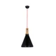 Люстра Candellux 31-10421 ROBINSON - изображение 1