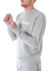 Світшот чоловічий TRUSSARDI JEANS (52F00248-1T005813-E450/22) Сірий XXL - изображение 3