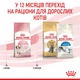 Сухой корм Royal Canin Kitten для котят 2уп*10кг - изображение 7