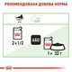 Вологий корм Royal Canin Digest Sensitive для котів з чутливим травленням 84шт*85г - зображення 5