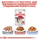 Вологий корм Royal Canin Instinctive In Gravy для котів старше 1 року 84шт*85г - зображення 9