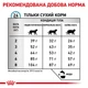 Сухой корм Royal Canin Anallergenic для взрослых котов с пищевой аллергией 3уп*2кг - изображение 5