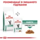 Сухой корм Royal Canin Diabetic для котов страдающих сахарным диабетом 4уп*1,5кг - изображение 6