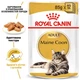 Влажный корм Royal Canin Mainecoon Adult для кошек породы мейн-кун 84шт*85г - изображение 2