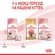 Влажный корм Royal Canin Babycat Instinctive & Mother для котят до 4 месяцев и для беременных кошек 48шт*195г - изображение 8
