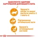 Вологий корм для котів Royal Canin Hair & Skin Care Jelly pouch 9+3 шт х 85 г - зображення 3
