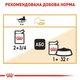 Вологий корм для котів Royal Canin Hair & Skin Care Jelly pouch 9+3 шт х 85 г - зображення 7