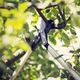 Сучкорез Fiskars PowerGearX LX94 (M) обводной (1020187) - изображение 3
