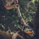 Сучкорез Fiskars PowerGear UPX82 обводной на штанге 1.6 м (1023625) - изображение 5