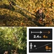 Сучкорез Fiskars PowerGear UPX86 обводной телескопический на штанге 2.4 - 4 м (1023624) - изображение 7