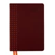 Ежедневник 2024 Leo Planner А5 Destiny 25243* - Коричневый - изображение 1