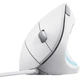 Мышка Trust Verto Ergonomic USB White (25133) - изображение 2