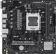 Материнська плата ASUS PRIME A620M-E-CSM (sAM5, AMD A620, PCI-Ex16) - зображення 1