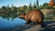 Дополнение Planet Zoo: наборе животных «Северная Америка для ПК (Ключ активации Steam) - изображение 2