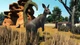 Игра Zoo Tycoon: Ultimate Animal Collection для ПК (Ключ активации Steam) - изображение 2