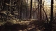 Гра Blair Witch для ПК (Ключ активації Steam) - зображення 3