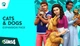 Доповнення The Sims 4 - Cats & Dogs (Кішки та собаки) для ПК (Ключ активації EA App) - зображення 1