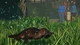 Дополнение Planet Zoo: Набор животных «Болота» для ПК (Ключ активации Steam) - изображение 3