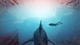 Игра Maneater для ПК (Ключ активации Steam) - изображение 6